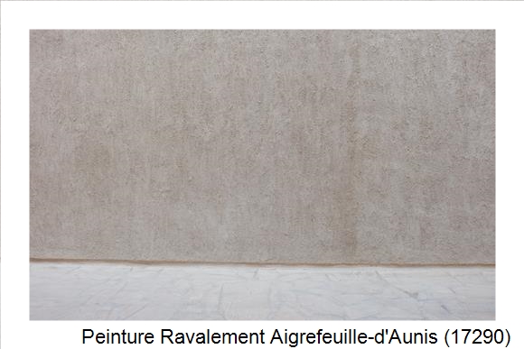 Façadier à Aigrefeuille-d'Aunis (17290)