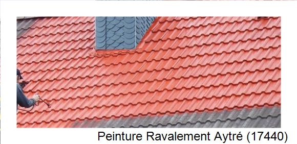 ¨Peinture toiture à Aytré (17440)