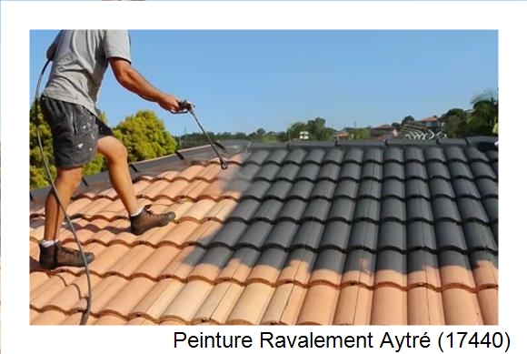Artisan peintre à Aytré (17440)