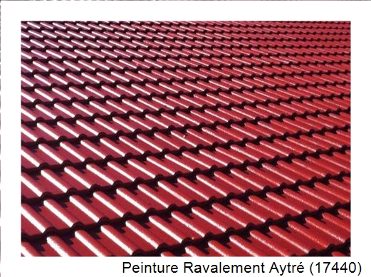 Peinture toiture à Aytré (17440)