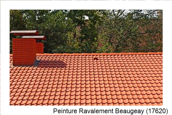Peintre en batîment à Beaugeay (17620)