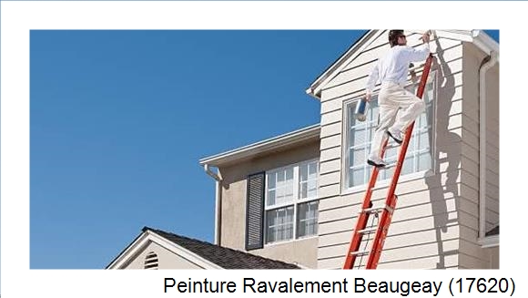 Travaux de bardage à Beaugeay (17620)