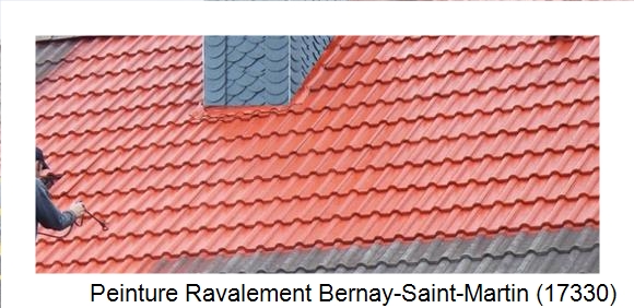 ¨Peinture toiture à Bernay-Saint-Martin (17330)