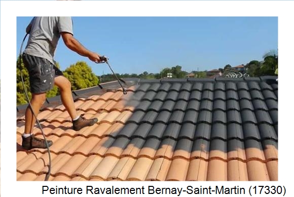 Artisan peintre à Bernay-Saint-Martin (17330)