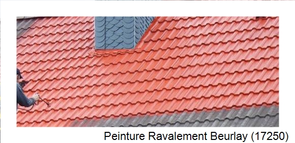 ¨Peinture toiture à Beurlay (17250)