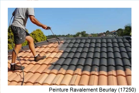Artisan peintre à Beurlay (17250)