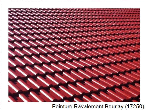Peinture toiture à Beurlay (17250)
