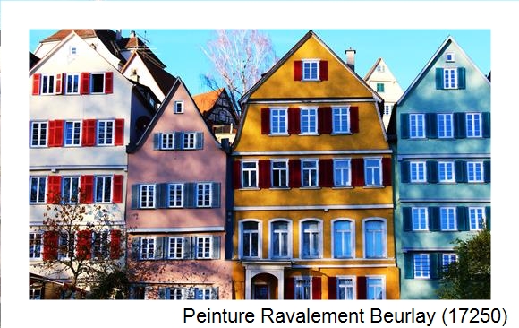 Entreprise de façade à Beurlay (17250)
