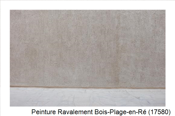 Façadier à Bois-Plage-en-Ré (17580)