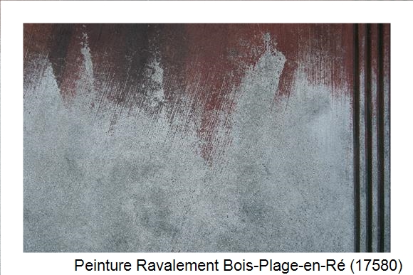 Entreprise de ravalement à Bois-Plage-en-Ré (17580)