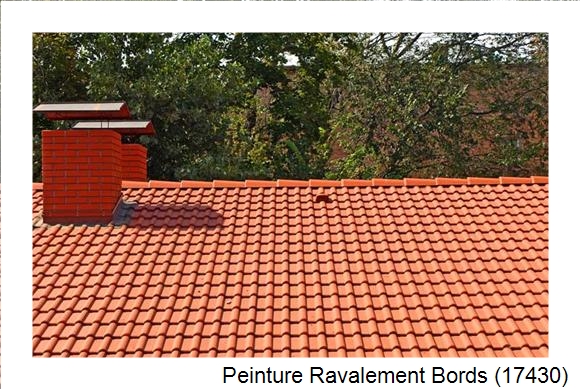 Peintre en batîment à Bords (17430)