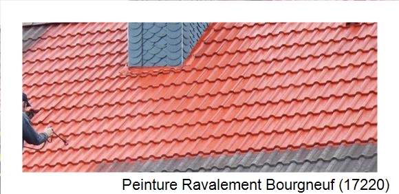 ¨Peinture toiture à Bourgneuf (17220)