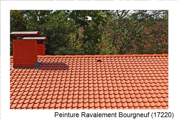 Peintre en batîment à Bourgneuf (17220)