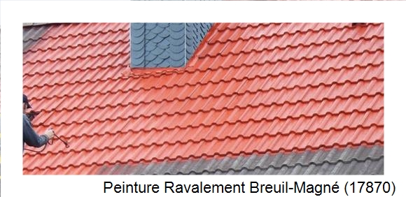 ¨Peinture toiture à Breuil-Magné (17870)