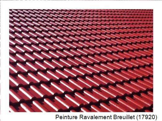 Peinture toiture à Breuillet (17920)