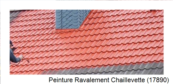 ¨Peinture toiture à Chaillevette (17890)