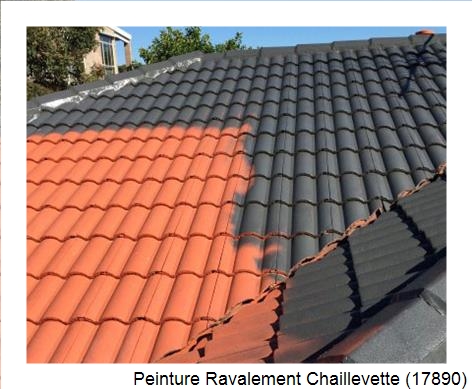 Peinture toiture à Chaillevette (17890)