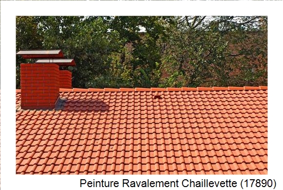 Peintre en batîment à Chaillevette (17890)