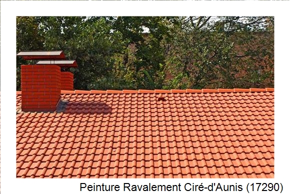 Peintre en batîment à Ciré-d'Aunis (17290)