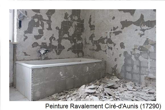 Façadier à Ciré-d'Aunis (17290)