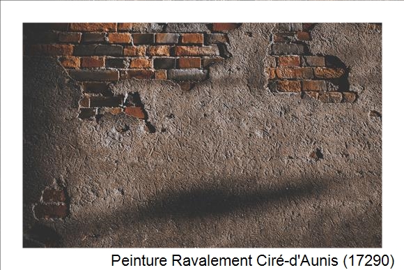 Entreprise de ravalement à Ciré-d'Aunis (17290)