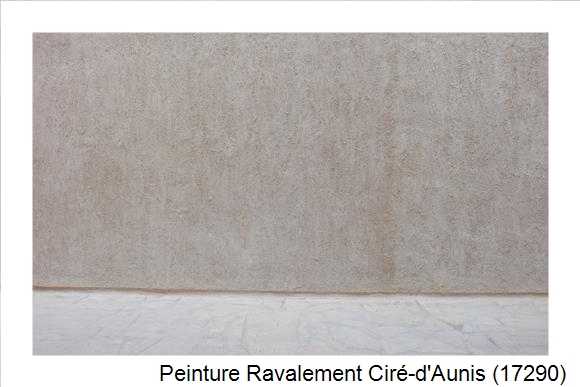 Façadier à Ciré-d'Aunis (17290)