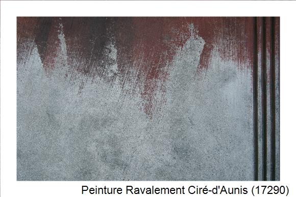 Entreprise de ravalement à Ciré-d'Aunis (17290)