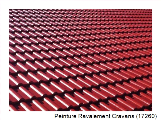 Peinture toiture à Cravans (17260)