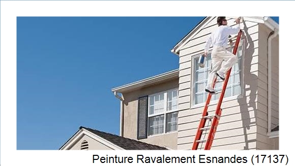 Travaux de bardage à Esnandes (17137)