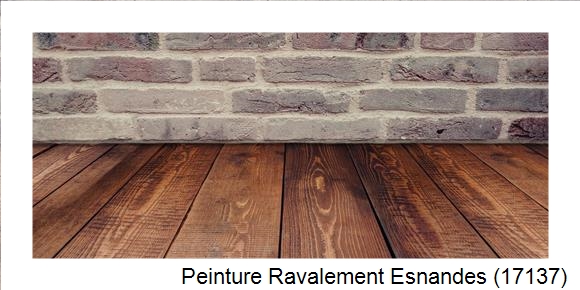 Ravalement de façade à Esnandes (17137)