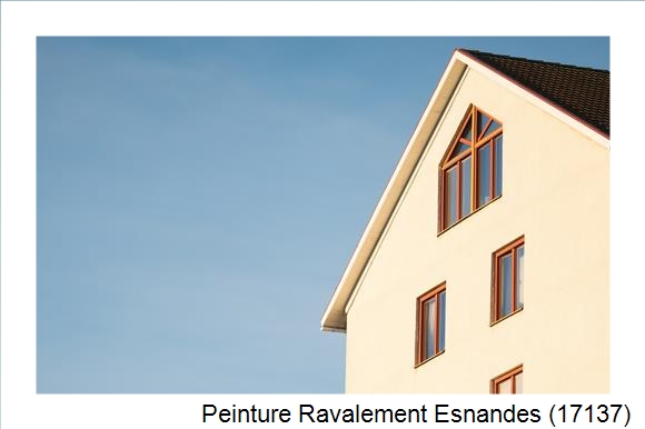Entreprise de façade à Esnandes (17137)