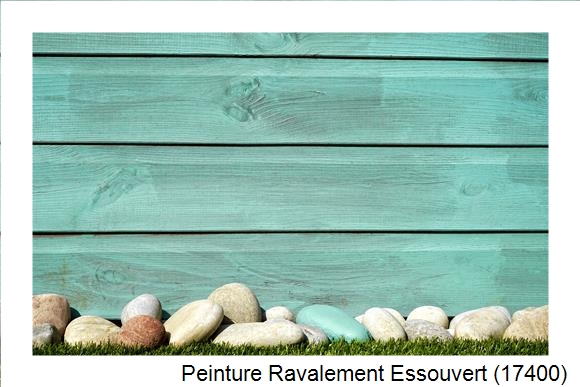 Peinture extérieur à Essouvert (17400)