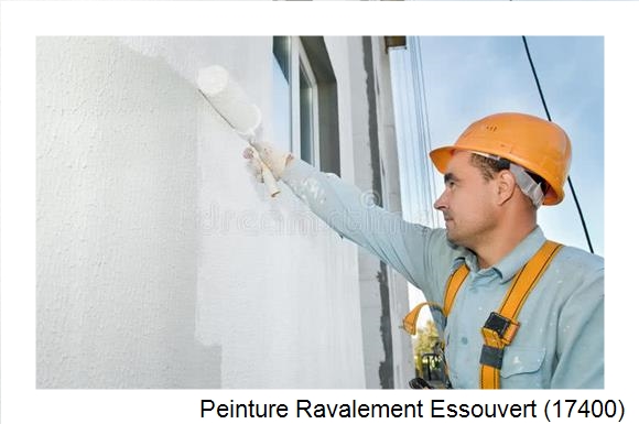 Peinture bardage à Essouvert (17400)