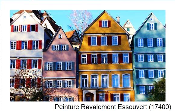 Entreprise de façade à Essouvert (17400)