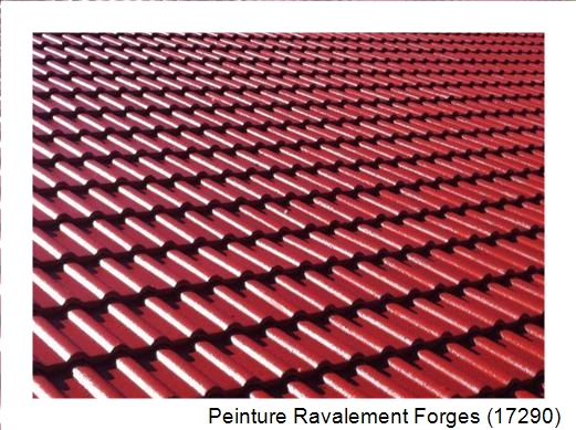 Peinture toiture à Forges (17290)