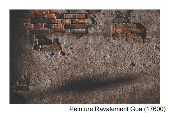 Entreprise de ravalement à Gua (17600)