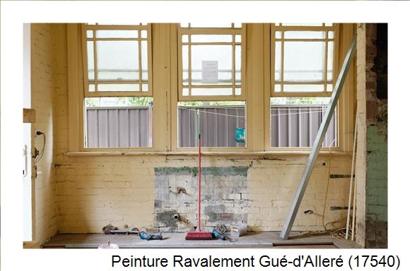 Entreprise de façade à Gué-d'Alleré (17540)