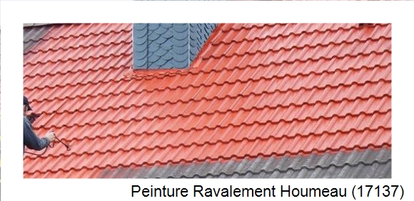 ¨Peinture toiture à Houmeau (17137)