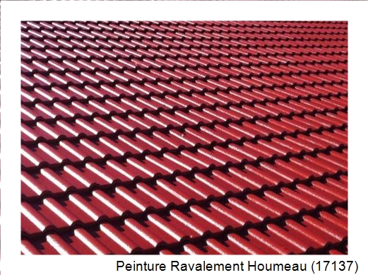 Peinture toiture à Houmeau (17137)