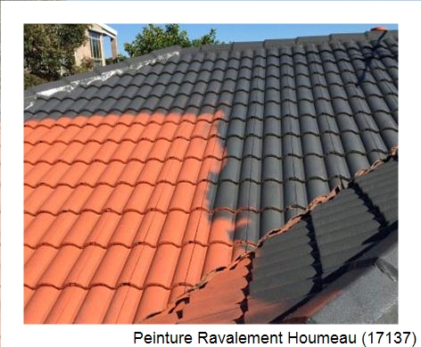 Peinture toiture à Houmeau (17137)