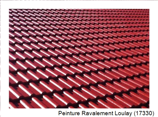 Peinture toiture à Loulay (17330)