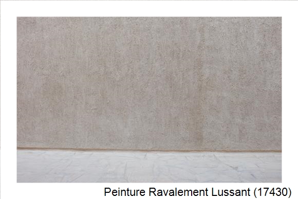 Façadier à Lussant (17430)