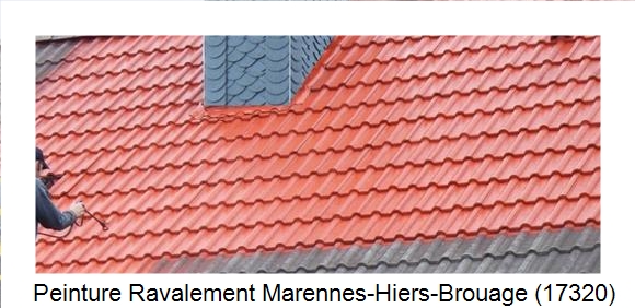 ¨Peinture toiture à Marennes-Hiers-Brouage (17320)
