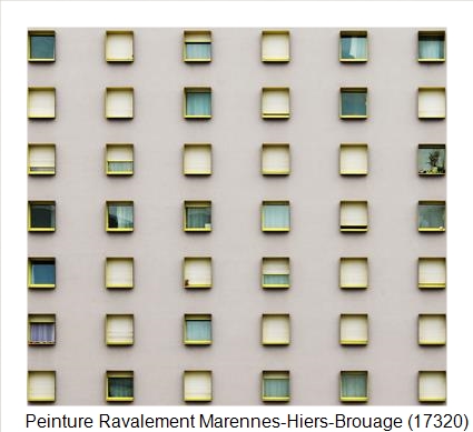 Bardage à Marennes-Hiers-Brouage (17320)