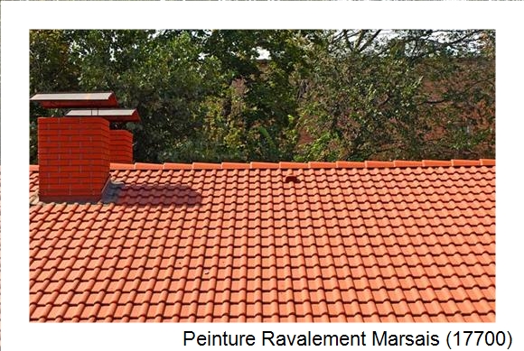 Peintre en batîment à Marsais (17700)