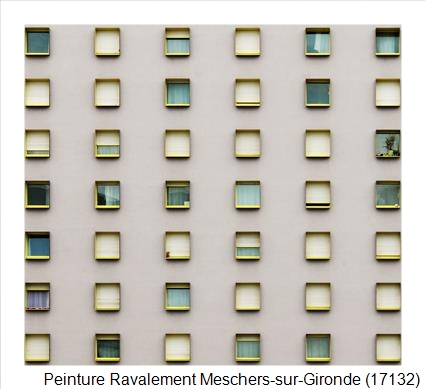 Bardage à Meschers-sur-Gironde (17132)