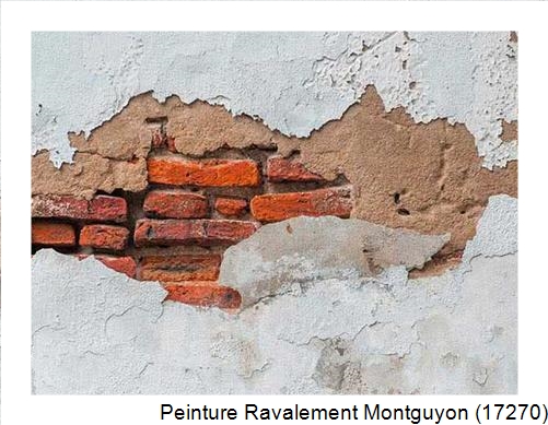 Ravalement de façade à Montguyon (17270)