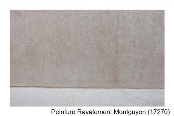 Façadier à Montguyon (17270)