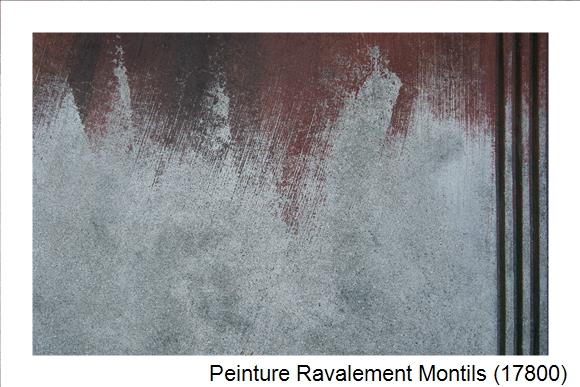Entreprise de ravalement à Montils (17800)