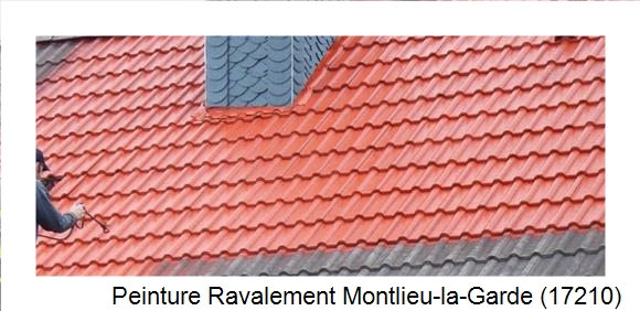 ¨Peinture toiture à Montlieu-la-Garde (17210)